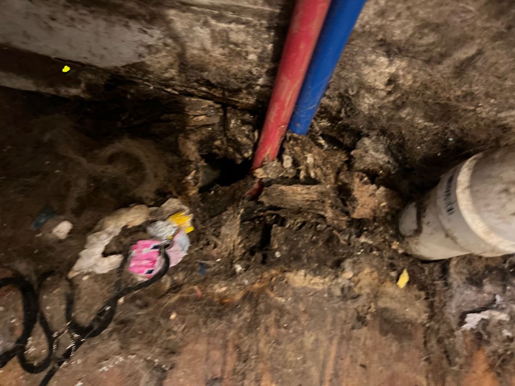 a baseball bat is in the middle of a hole