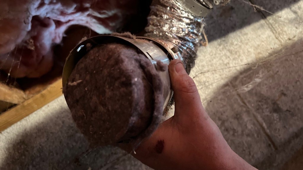 Dirt dryer vent hose