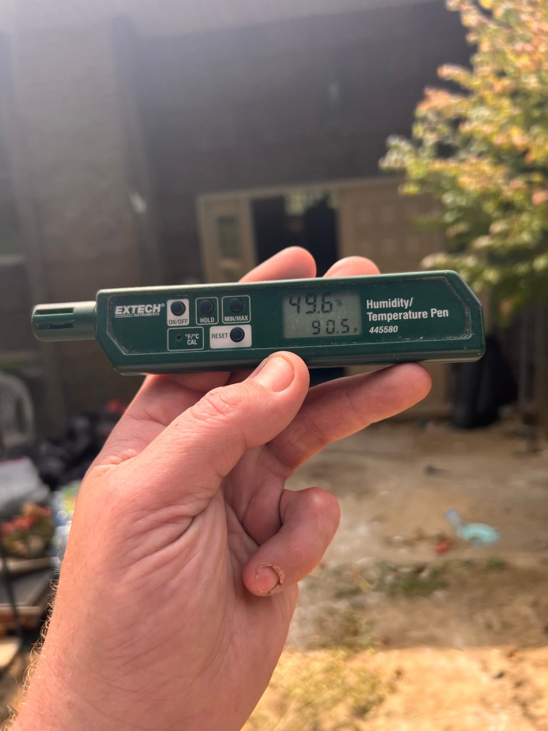 a person holding a thermometer in their hand