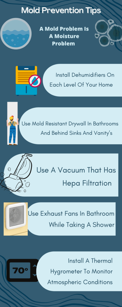 Mold removal tips infographic 