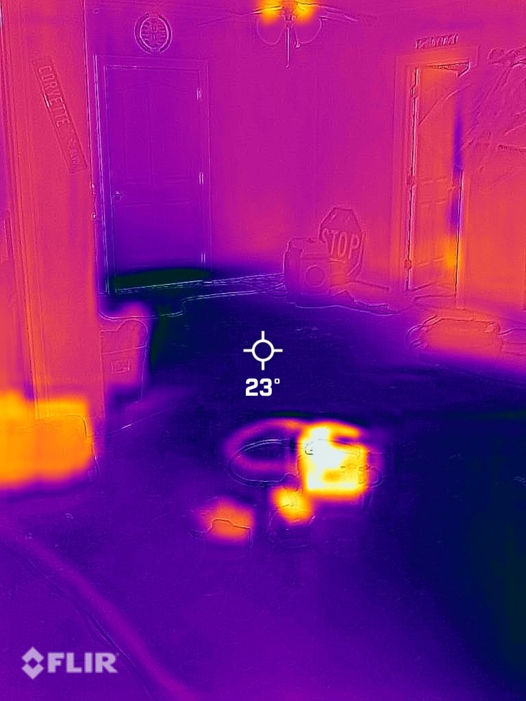 Water damaged basement