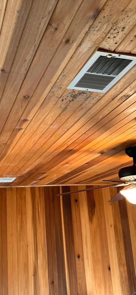 a ceiling fan and light in a wood paneled room