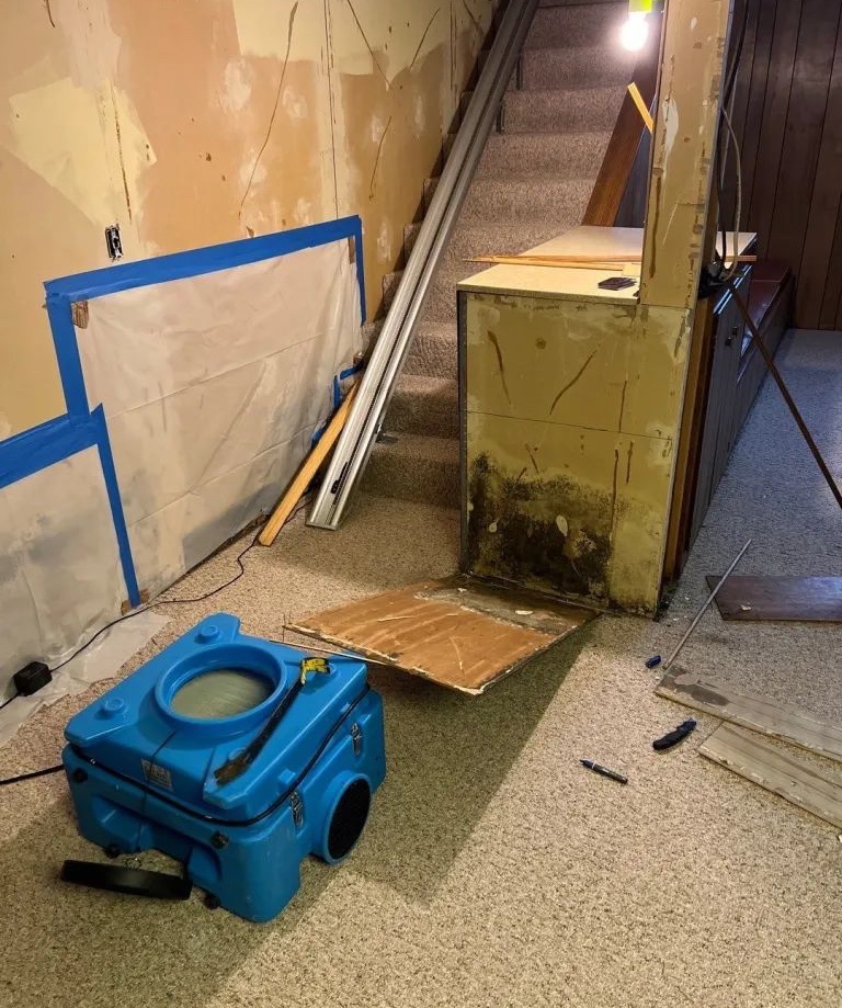 Mold removal company removing molded drywall on a mold remediation project in Lexington, Kentucky 
