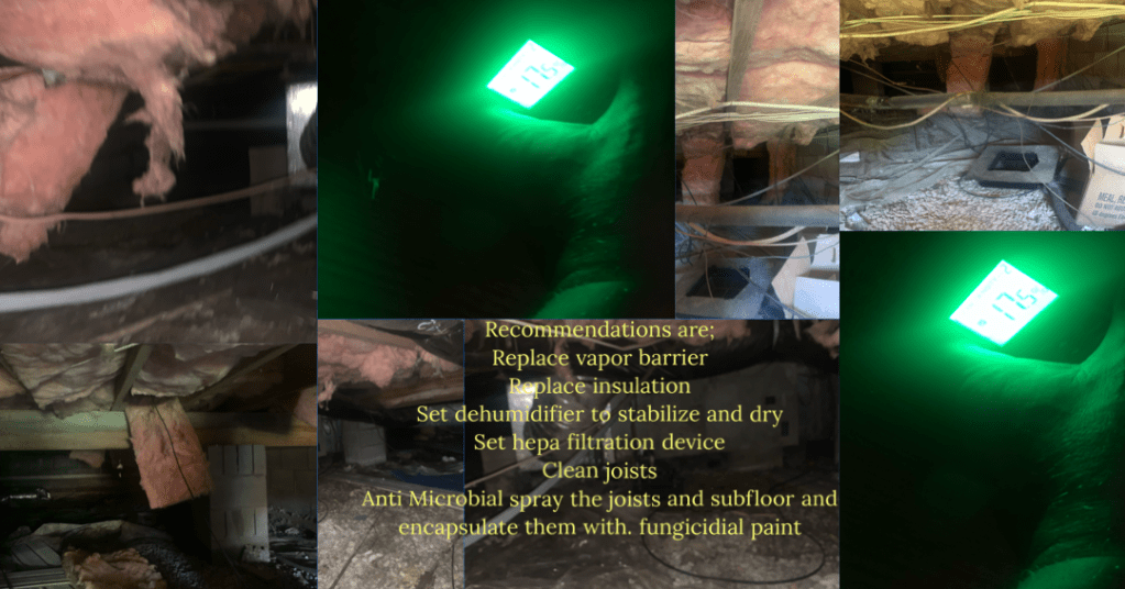 Mold remediation company doing work in a crawlspace